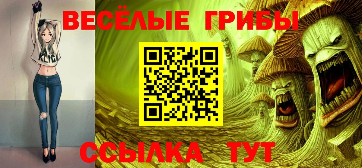Артём  Псилоцибиновые грибы Psilocybine cubensis  Вход с VPN  цена   Псилоцибиновые грибы мицелий 