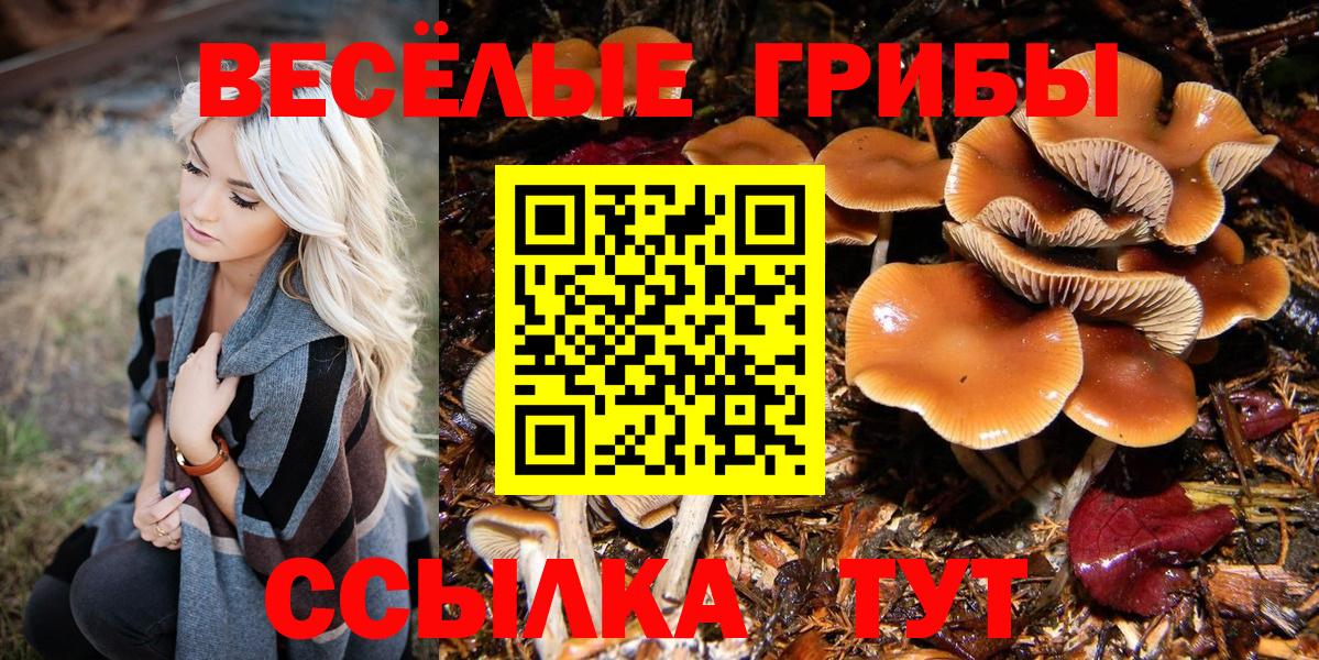 Псилоцибиновые грибы Cubensis Артём